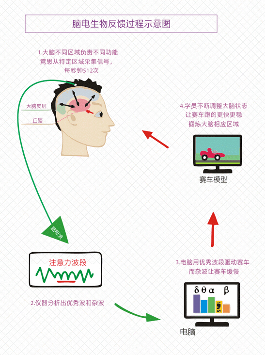 脑电训练流程图